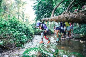 BIB: 
                            <button type="button" onclick="openModal(25450396)" class="btn btn-primary btn-sm float-right btn-popup" data-toggle="modal" data-target=".modal-high-quality">
                        <i class="fas fa-shopping-cart"></i> Add to Cart
                    </button>
                                            <button type="button" onclick="isThisMe(25450396, true)" class="btn btn-success btn-sm float-right btn-popup btn-isme hidden" data-toggle="tooltip" data-placement="bottom" title="นี่คือรูปของคุณใช่ไหม คลิกที่นี่เพื่อเอาเข้าอัลบั้ม">
                        <i class="fas fa-plus"></i> Add to album
                    </button>
                    <button type="button" onclick="isThisMe(25450396, false)" class="btn btn-warning btn-sm float-right btn-popup btn-isnotme hidden">
                        <i class="fas fa-ban"></i> Remove from album
                    </button>